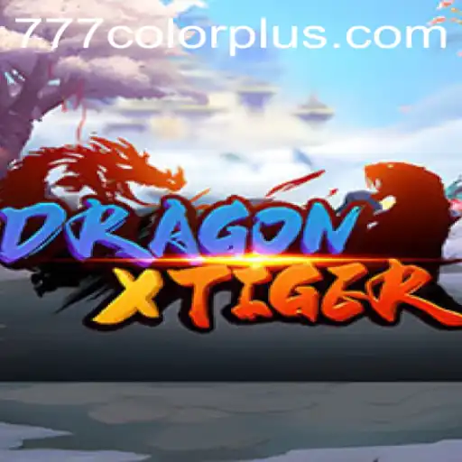 DragonXTiger: An Immersive Gaming Experience with 777color